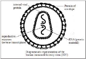 Biology, Class 9, Health and Disease, Types of Diseases, Symptoms